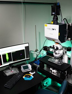 直立5-line蔡司Axio高速共焦显微镜活体的考官